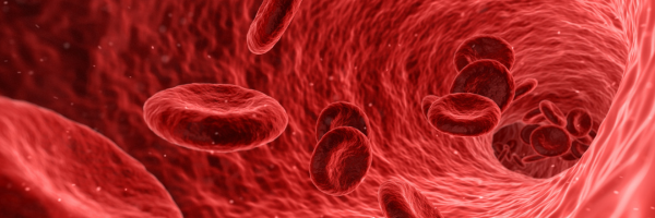 Research headers - 5